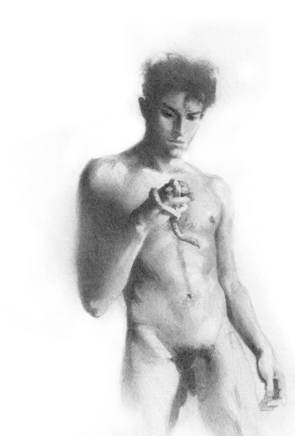 mateo picant laurent buy gay art at queer gallery 2