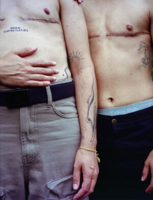 prins de vos buy gay art at queer gallery 2