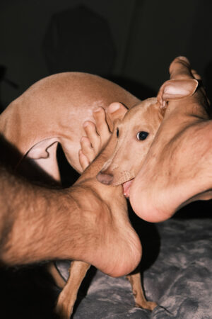 queer art exhibition events lgbtqia lgbt transgender trans support gay art